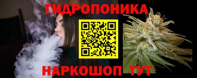 стафф Ставрополь