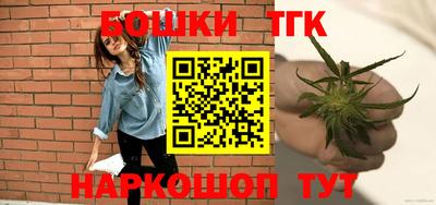 дмт Славгород