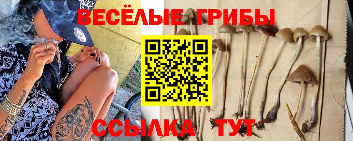 Галлюциногенные грибы Psilocybe Орск