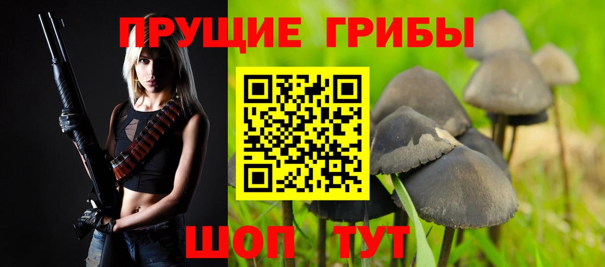 Орск  Псилоцибиновые грибы мицелий  Галлюциногенные грибы прущие грибы  Вход с VPN 